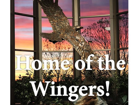 Red Wing Schools Preliminary Levy