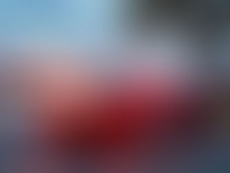 Red Wing Schools Lockdown