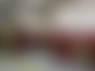 Red Wing Fire Dept Free CO Alarms