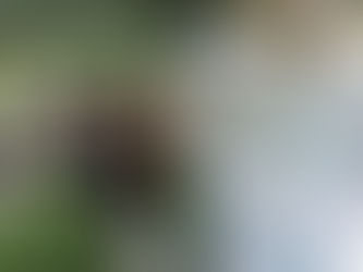 Goodhue County Health Assessment