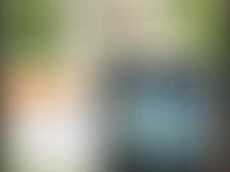 Envision Plainview Spark Session