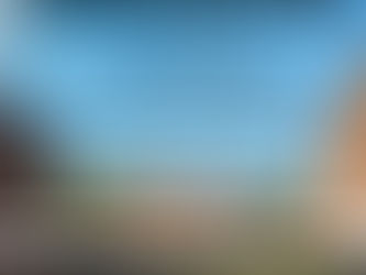 Downtown Red Wing Challenge