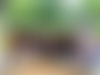 Power of 100 Red Wing Applications