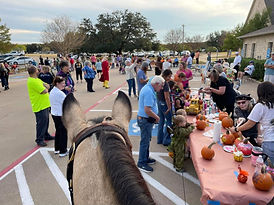 fallfest7.jpeg
