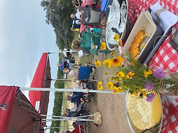 picnic2.jpeg