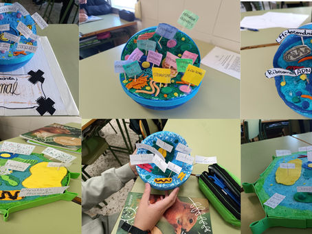 Maquetas de las células