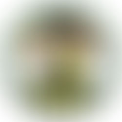 Speech by Ambassador of Belize to the United States of America, H.E. Daniel Gutierez, to members of 