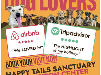 🌟 Come visit us at the Happy Tails Dog Sanctuary! 🌟🐾