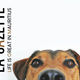 Thank you to "La Gazette" August 2025 edition!