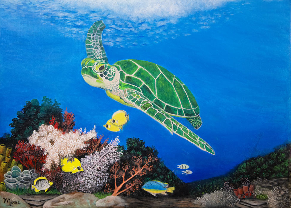 Sea Turtle