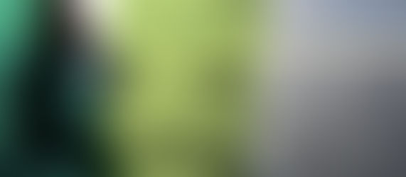 Debating attitudes, asylum and migration policies