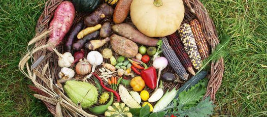 The Future of Food in Hungary