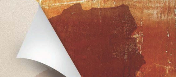 Book Launch – Repatriating Polanyi: Market Society in the Visegrád States by Chris Hann