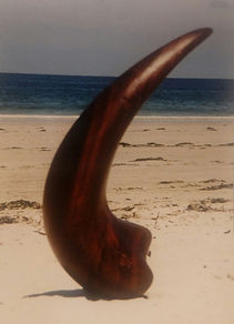 Vague Souvenir