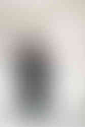 1. Groom and groomsmen adjusting bow ties near window light — classic pre-ceremony moment captured by Richmond wedding photographer at The Dominion Club.