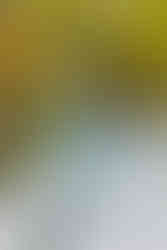 1️⃣3️⃣ Solo portrait fall engagement session Richmond VA