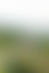 7. Close-up portrait of expecting mother smiling during Shenandoah maternity shoot