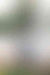 Close-up of the Lee family sharing laughs and hugs near the fountain at Maymont in Richmond, VA.