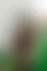 	2.	Portrait of a woman photographed during a golden hour family session in Richmond