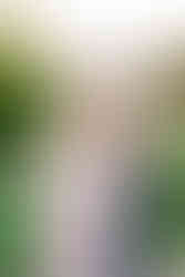 Mother and daughter smiling together during an outdoor family portrait session at Libby Hill Park in Richmond