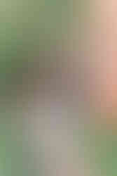 3. Bride and groom posing under a garden arch with lush plants in the background.