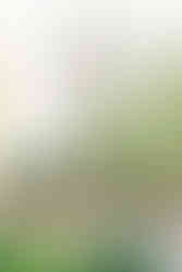 1️⃣3️⃣ University of Richmond engagement photography fall campus paths