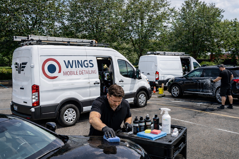 infographic showing durability comparison between car wax polymer sealant SiO2 ceramic sealant and professional ceramic coating