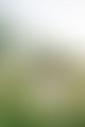 14. Portrait of pregnant woman adjusting hair in meadow during Virginia maternity shoot