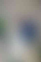 	3.	Elegant newlyweds portrait beside the cake table at a winter wedding in Richmond, Virginia