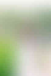 Candid smiling portrait of a young girl in a floral setting, photographed by Richmond Photographer Munhoz Photography.