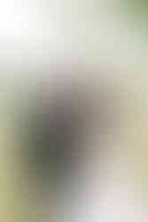 4️⃣ Bride and groom smiling closely during sunset portraits — joyful wedding photo at The Dominion Club.