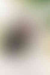 5️⃣ Couple embracing with lake and trees in the background — fine-art Richmond wedding photography image.