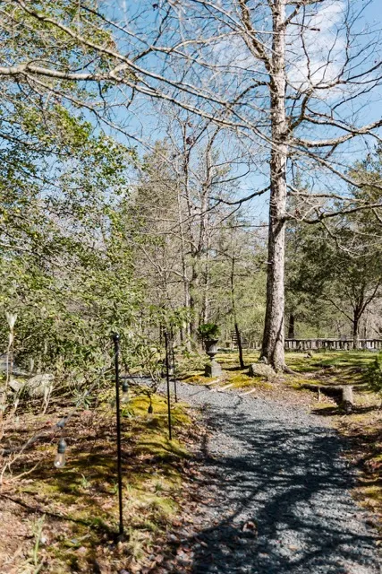 	4.	Tree-lined gravel path surrounded by greenery, offering a scenic walking trail at The Mill at Fine Creek.