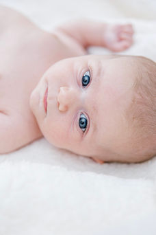 richmond virginia newborn photographer
