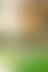 1️⃣7️⃣ Historic architecture University of Richmond engagement session