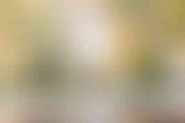 4. Front facade of The Dominion Club wedding venue under clear blue sky — Richmond wedding photographer image.