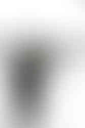 9️⃣ Close-up of couple’s hands showing wedding bands — elegant fine-art detail photo in Richmond, VA.