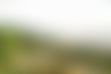 9. Couple embracing during maternity session at Shenandoah National Park