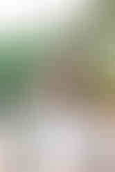 Smiling girl in white lace dress with Maymont’s pergola garden in the background.