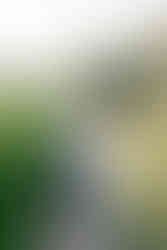 Grandparents smiling and holding hands during their family photoshoot at Maymont Park in Richmond, Virginia.