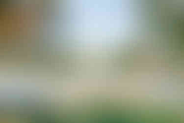 Exterior of The Dominion Club wedding venue with lake view — captured by Richmond wedding photographer Munhoz Photography.