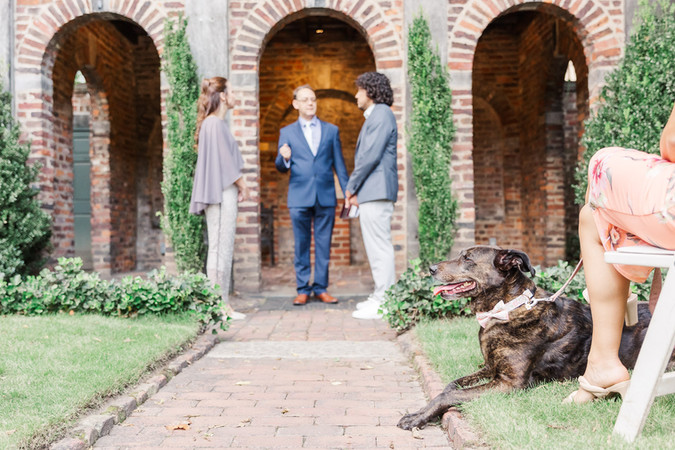 4. Groom standing at the altar with his black dog on a leash, waiting for the ceremony to begin.