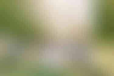 Grandfather and grandmother sharing a sweet moment during their spring family session at Maymont.