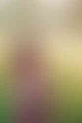 12. Side profile maternity portrait outdoors Richmond photographer