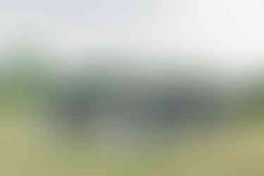 27. Large wedding party photo in open field for spring wedding in Virginia