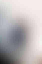 bride and groom on a indoor ceremony during a winter wedding in richmond, virginia