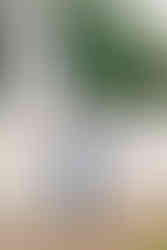 Father and daughters smiling in soft light, captured at the Maymont fountain by Richmond Photographer Munhoz Photography.