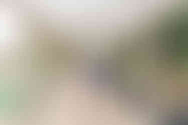 8. Couple walking under vine-covered pergola during engagement photos at Maymont Park in Richmond, Virginia