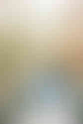 1️⃣ Fall engagement session on bridge at University of Richmond