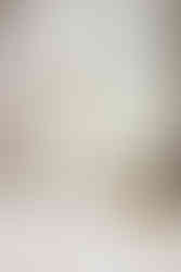 18. Bride in a strapless lace wedding gown standing by bright windows with her golden retriever Fry
